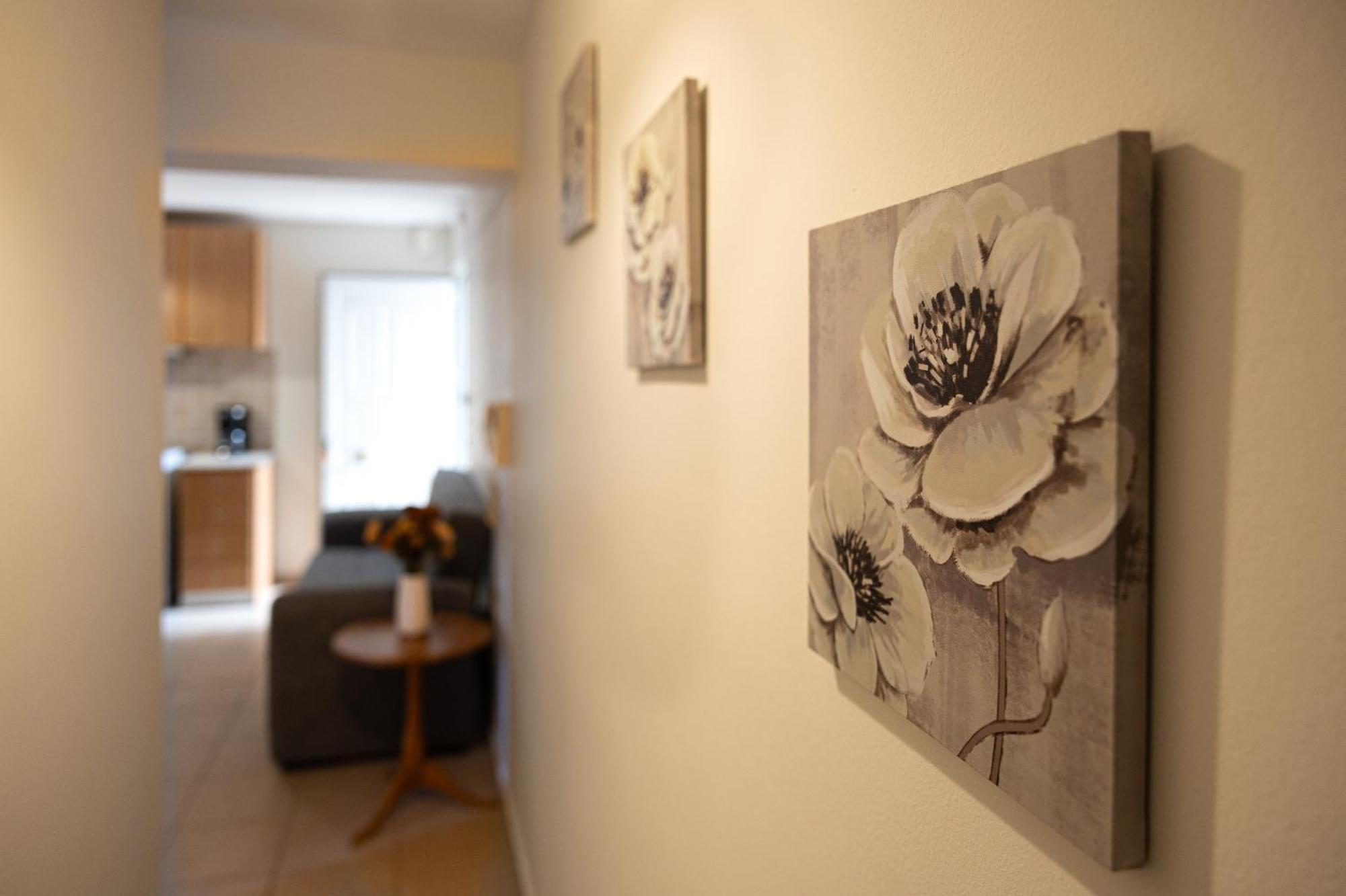 Pavlos Apartments アルゴストリオン エクステリア 写真